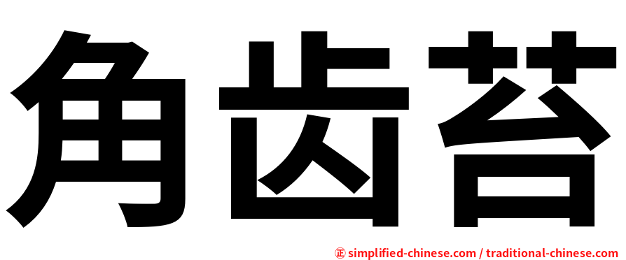 角齿苔
