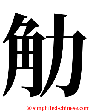 觔 serif font