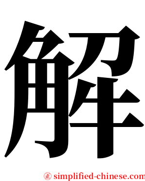 解 serif font