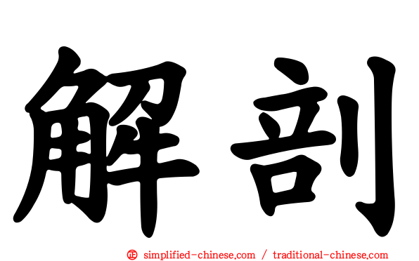 解剖