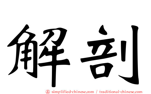 解剖