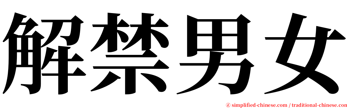 解禁男女 serif font