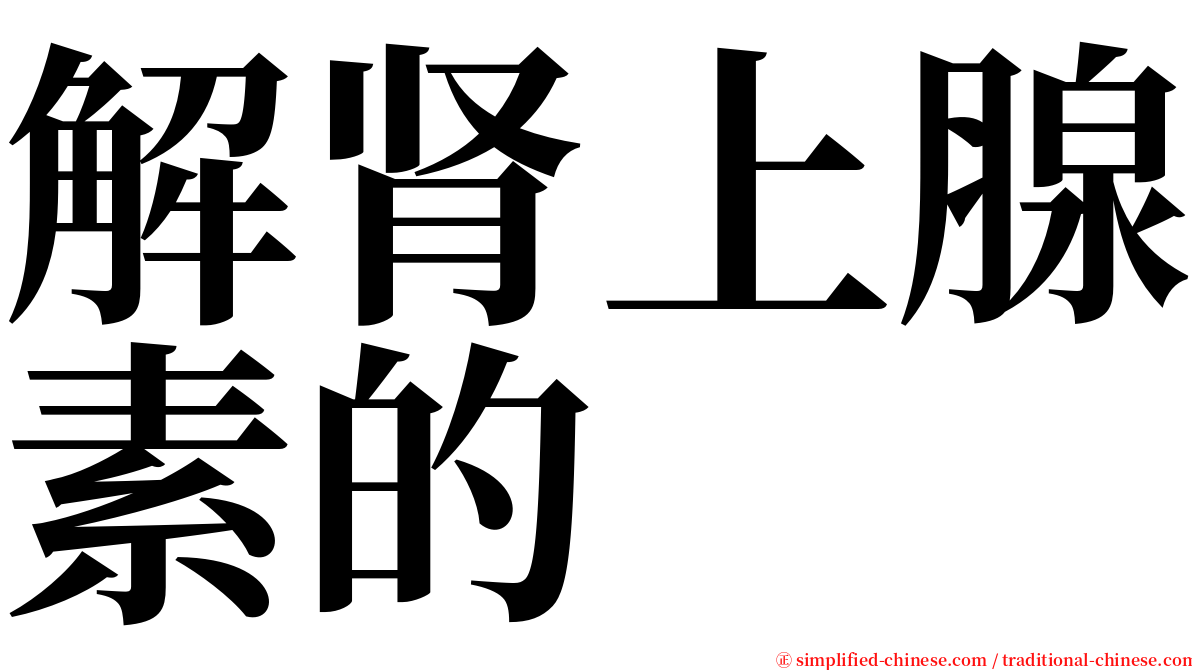 解肾上腺素的 serif font