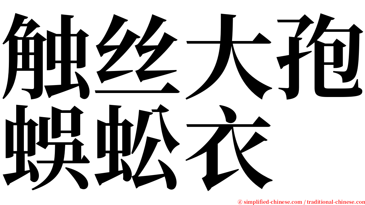触丝大孢蜈蚣衣 serif font