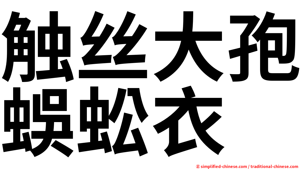 触丝大孢蜈蚣衣