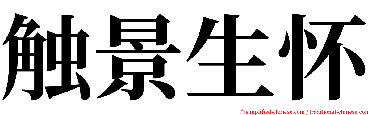 触景生怀 serif font
