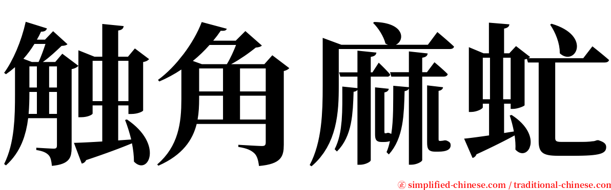 触角麻虻 serif font