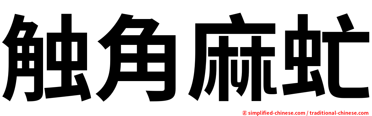 触角麻虻