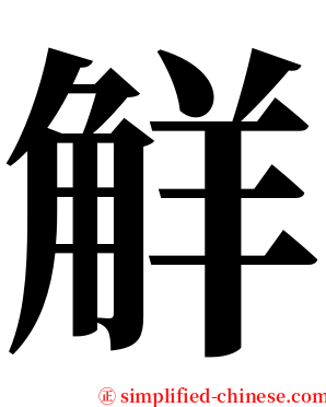 觧 serif font