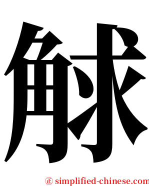 觩 serif font