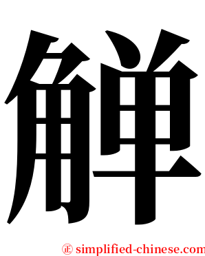 觯 serif font