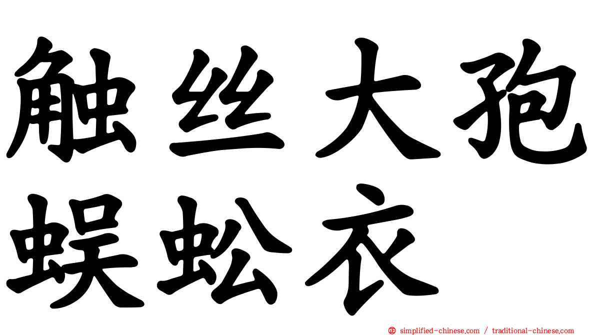 触丝大孢蜈蚣衣