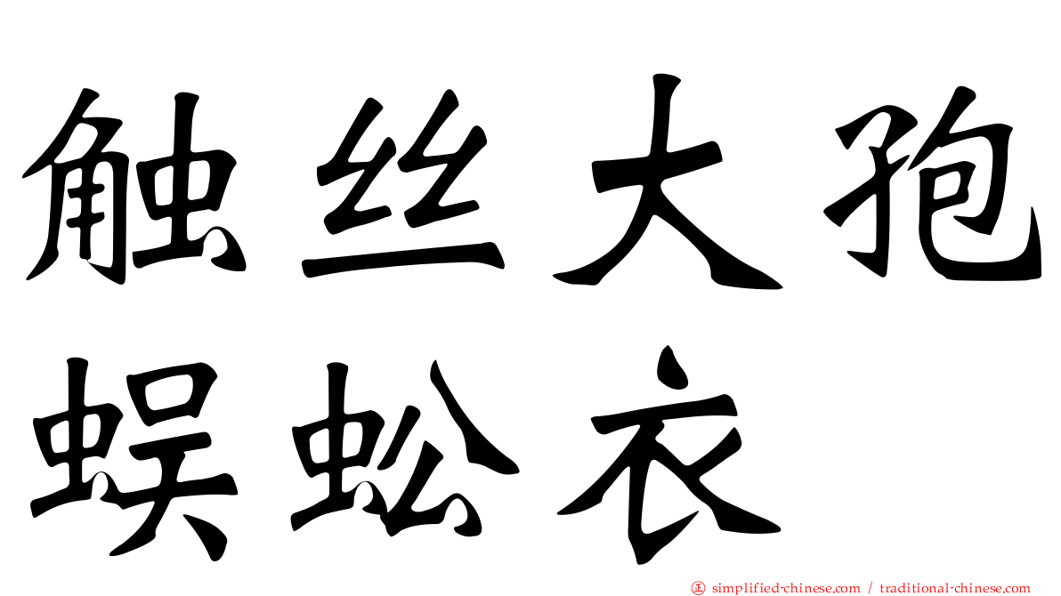 触丝大孢蜈蚣衣