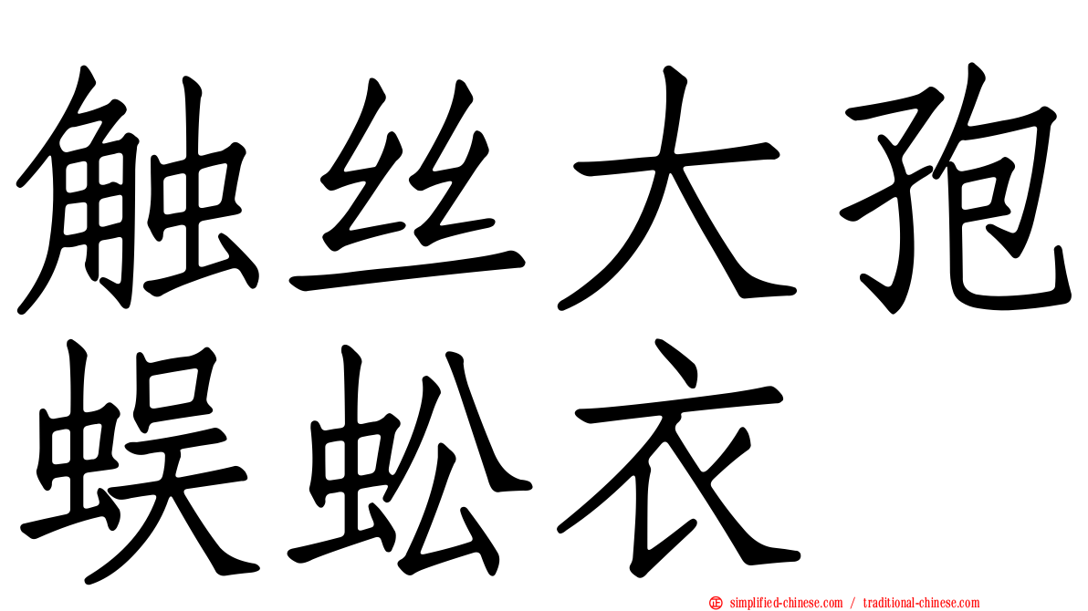 触丝大孢蜈蚣衣