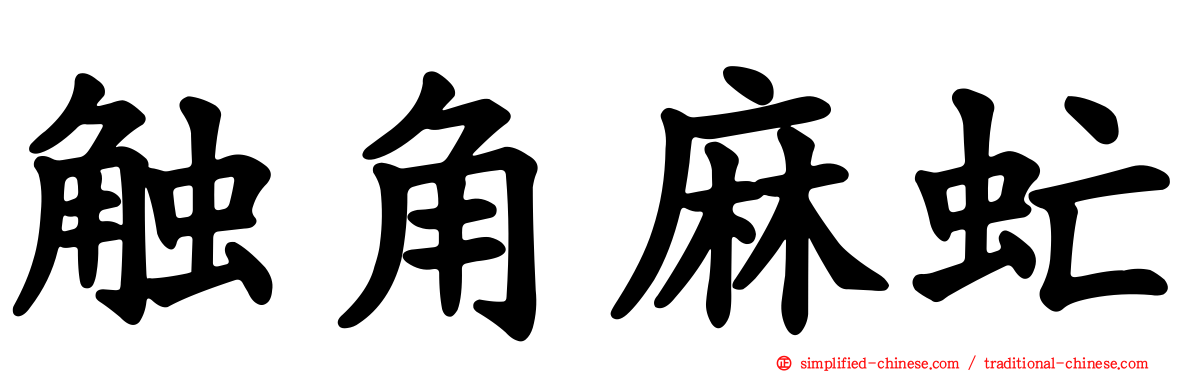 触角麻虻