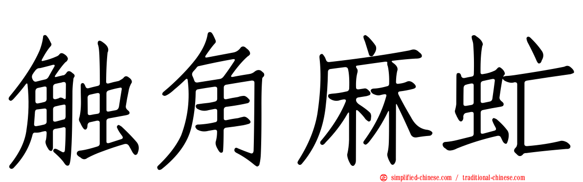 触角麻虻