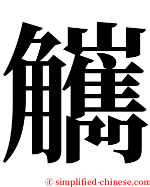 觽 serif font