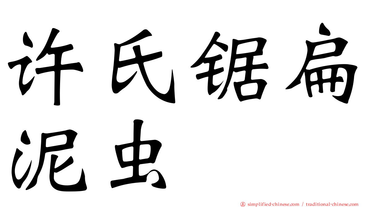 许氏锯扁泥虫