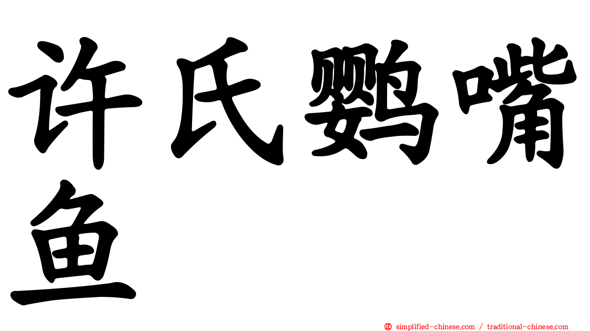 许氏鹦嘴鱼