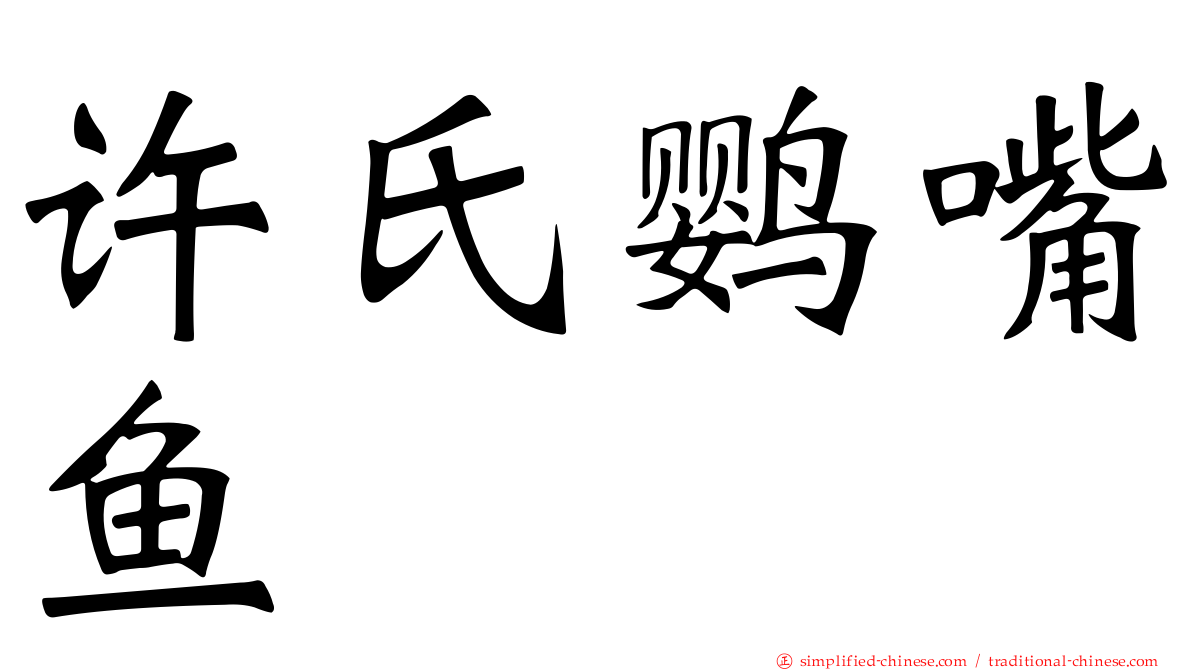 许氏鹦嘴鱼
