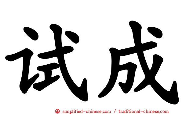 试成