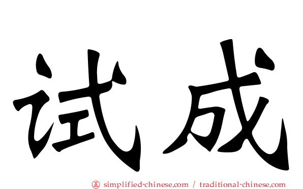 试成