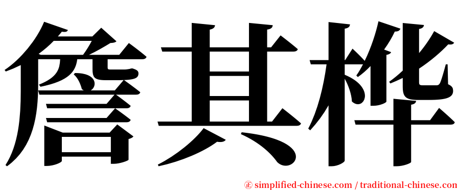 詹其桦 serif font