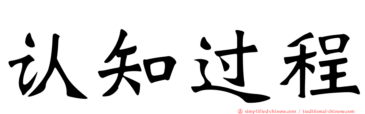 认知过程
