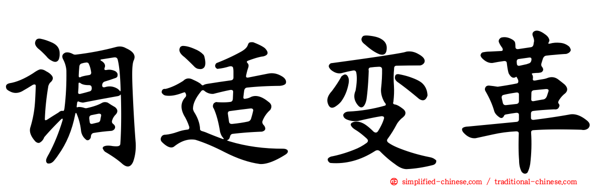 调适变革