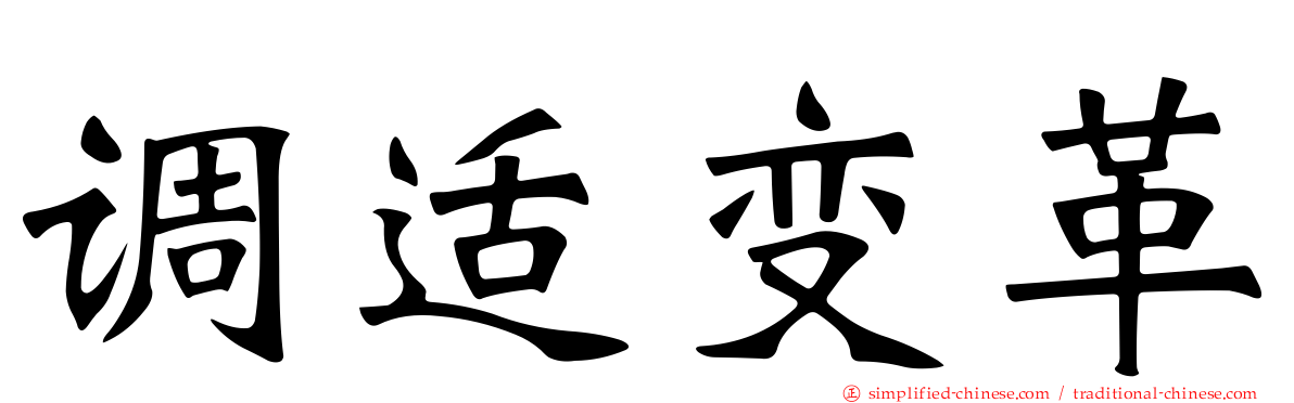 调适变革