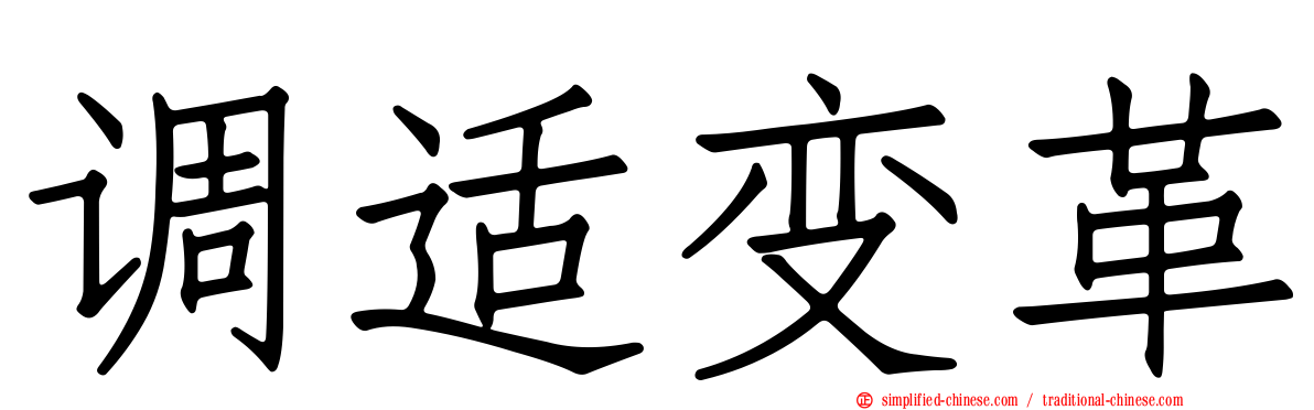 调适变革