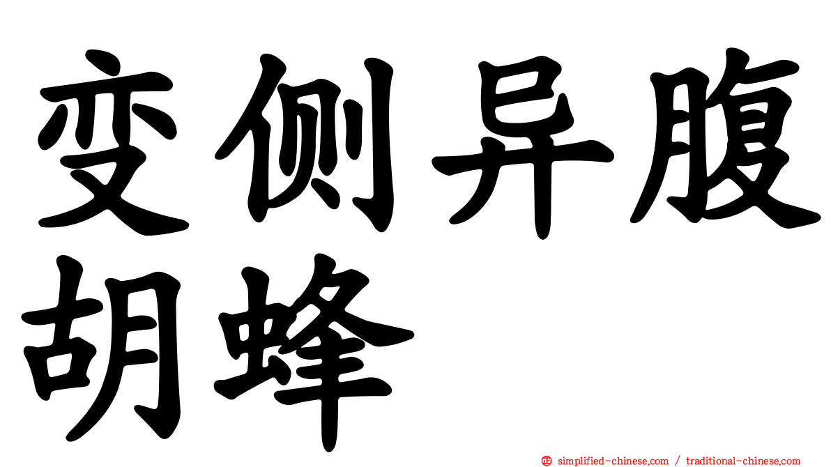 变侧异腹胡蜂