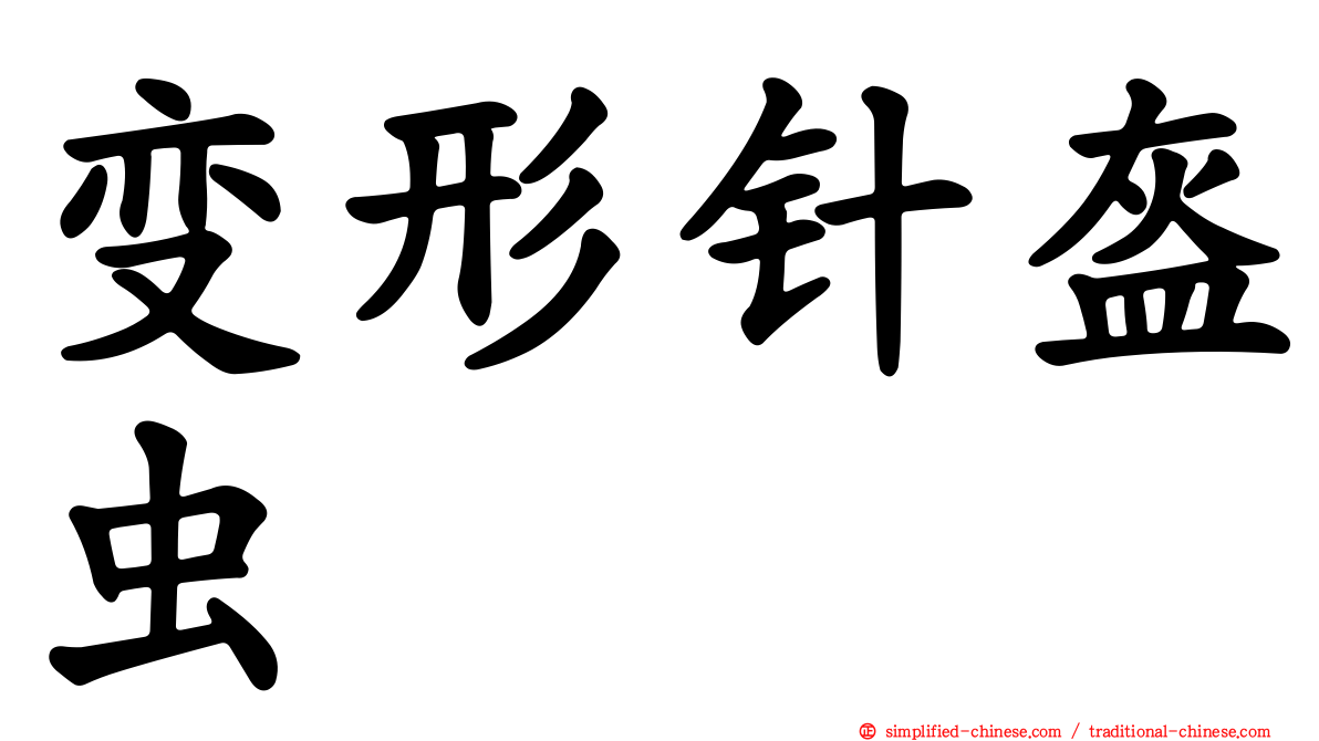 变形针盔虫
