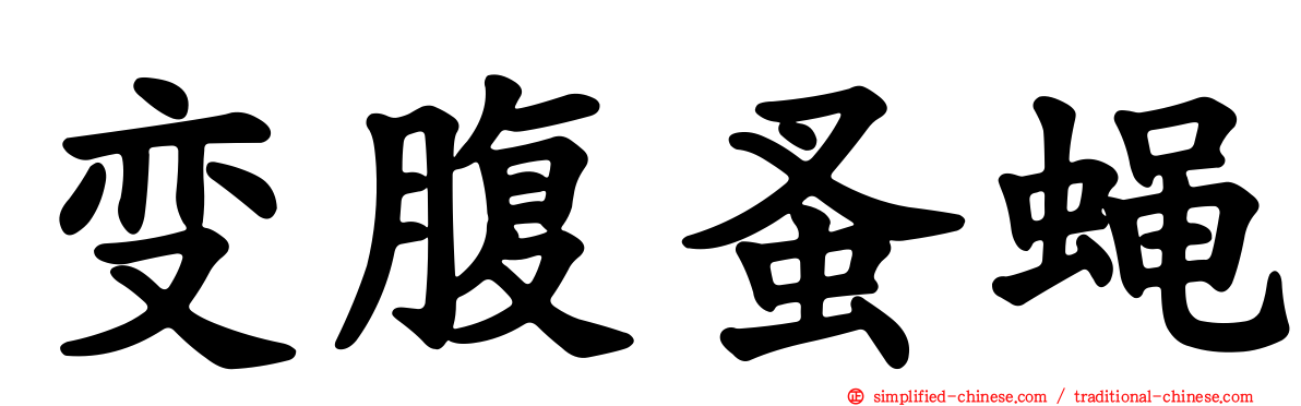 变腹蚤蝇