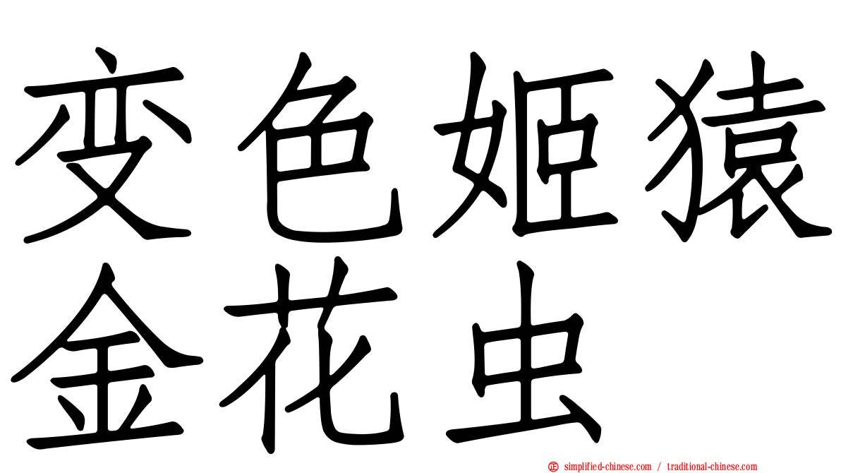 变色姬猿金花虫