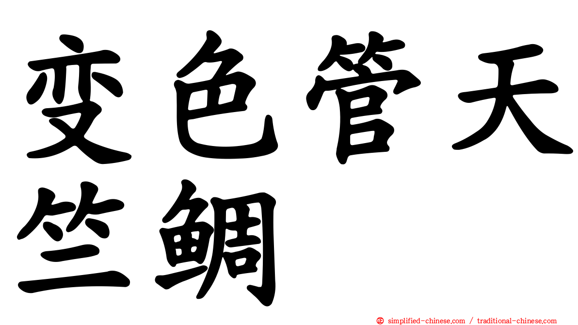 变色管天竺鲷