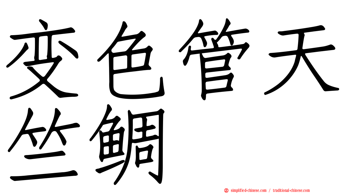 变色管天竺鲷