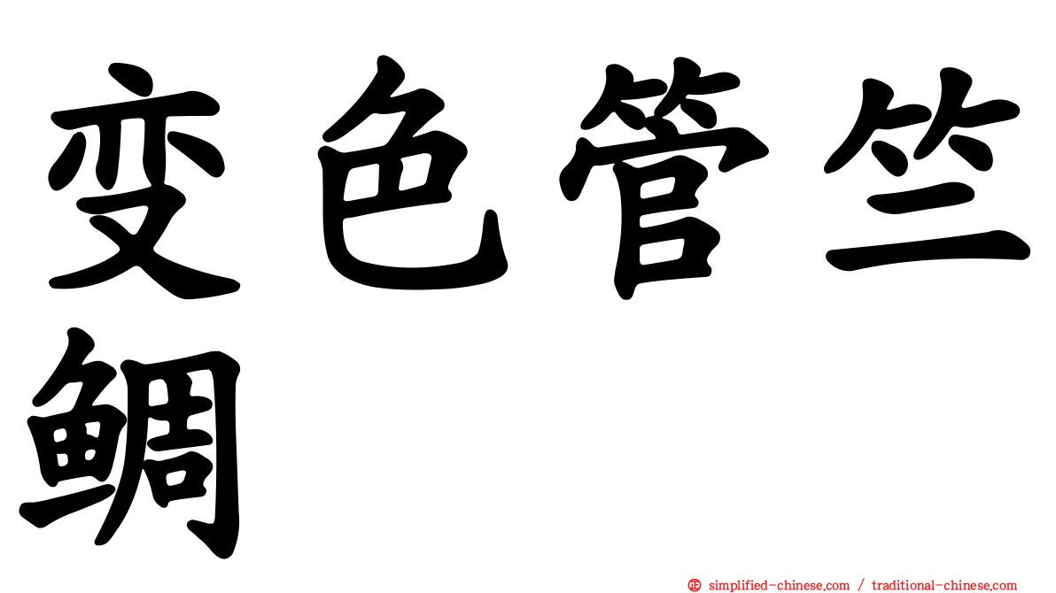 变色管竺鲷