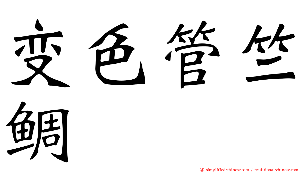 变色管竺鲷
