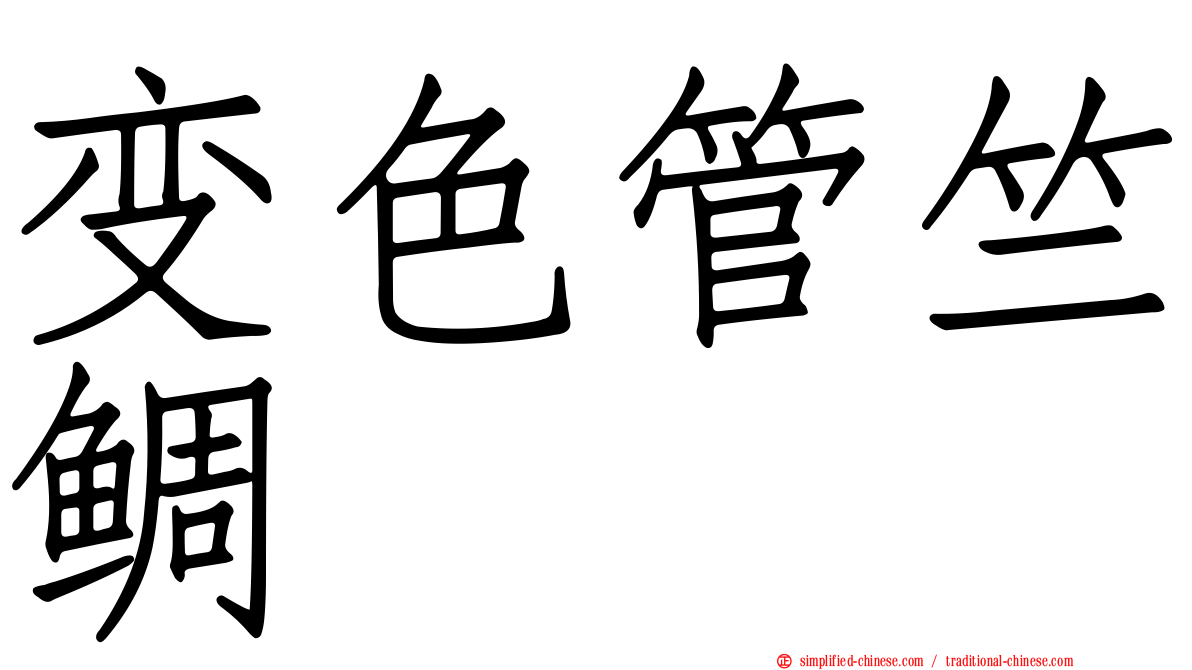 变色管竺鲷