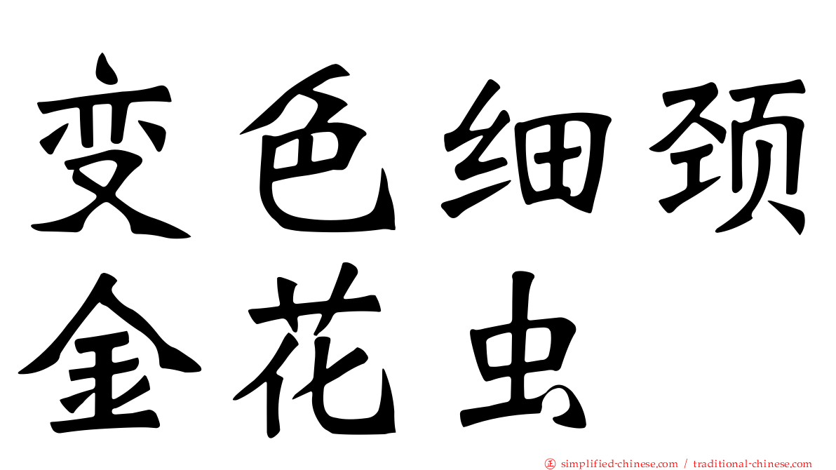 变色细颈金花虫