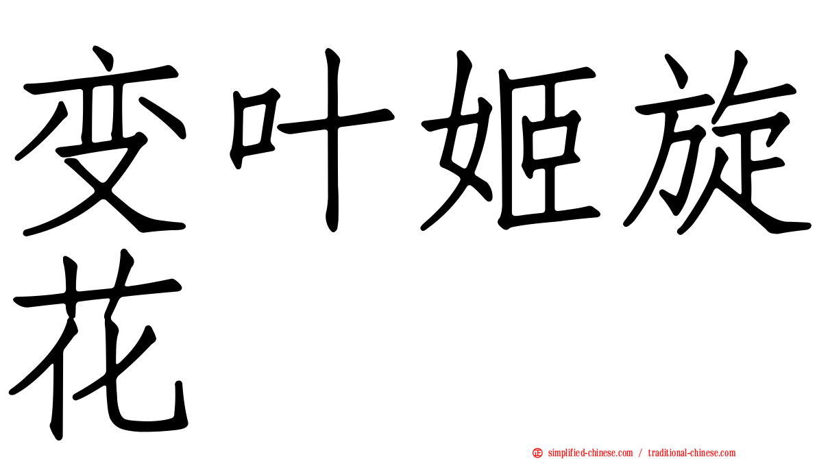 变叶姬旋花