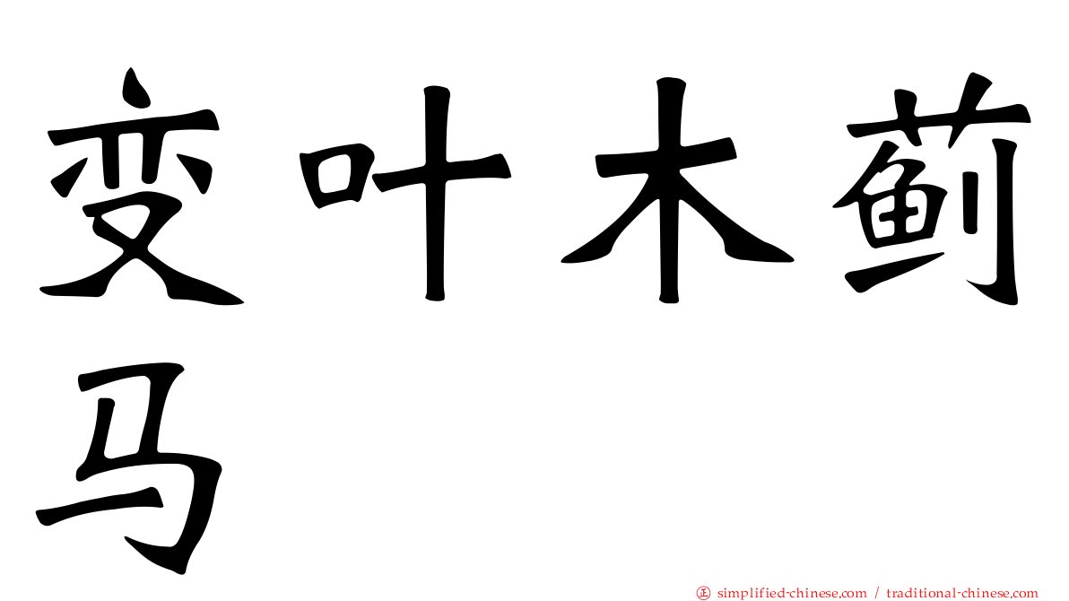 变叶木蓟马