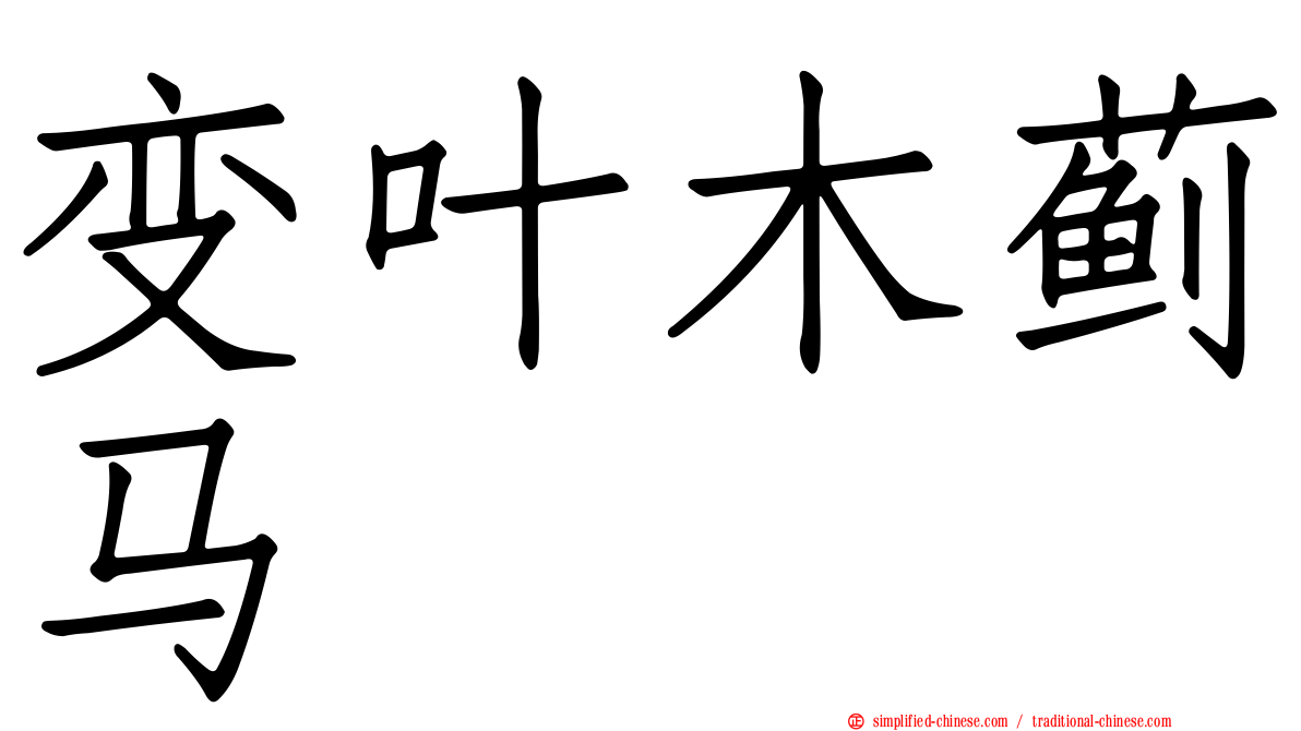 变叶木蓟马