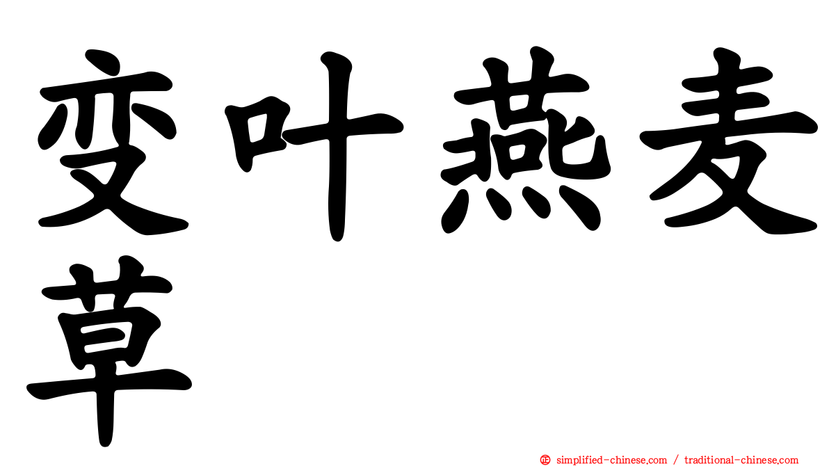 变叶燕麦草