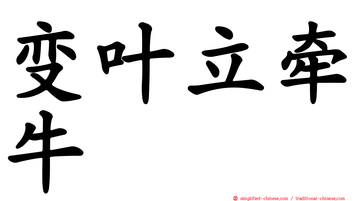变叶立牵牛