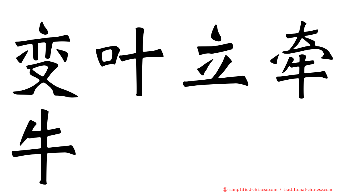 变叶立牵牛
