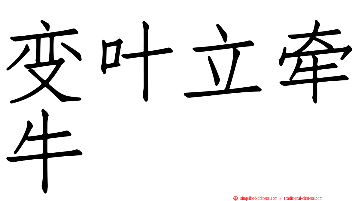 变叶立牵牛