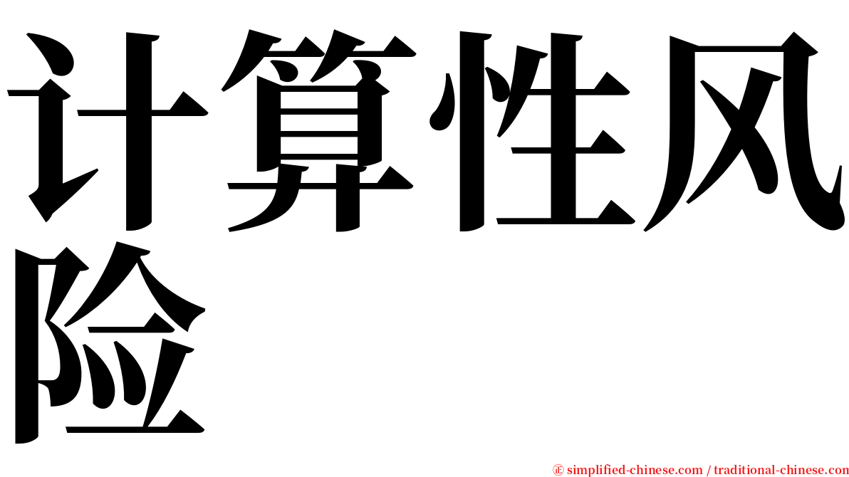 计算性风险 serif font