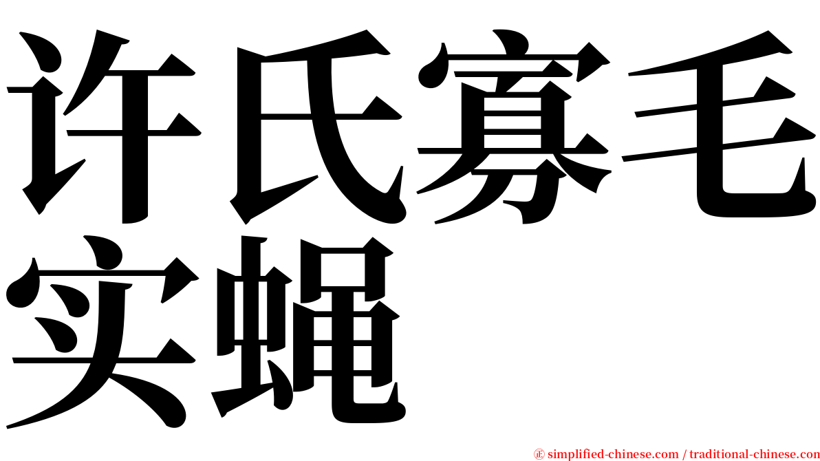许氏寡毛实蝇 serif font